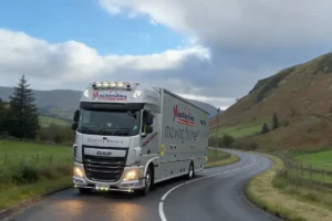 Expert tips for Antrim house removals when downsizing, including decluttering advice, packing strategies, storage options, and professional moving support.
